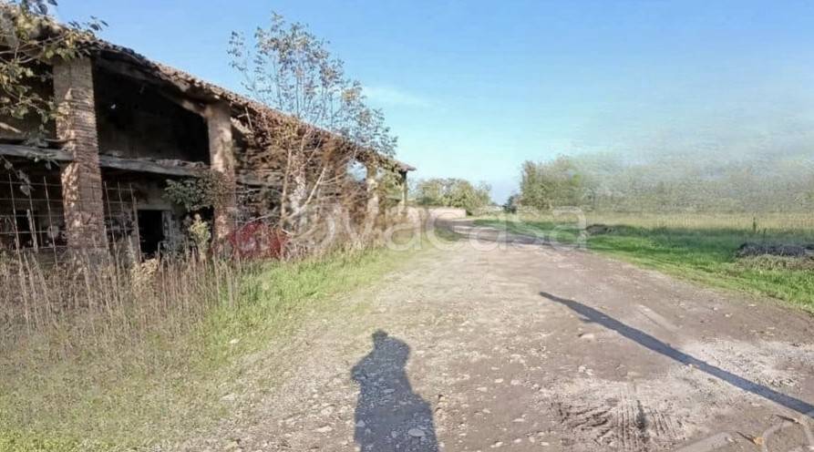 immagine annuncio 3 di 8