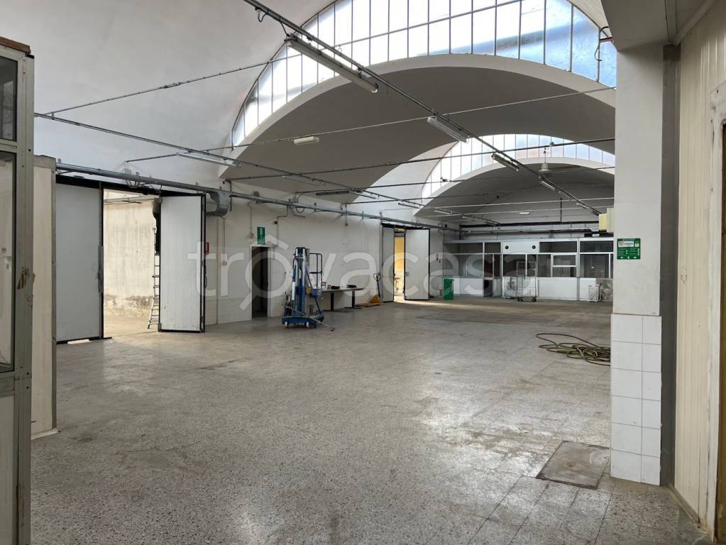 immagine annuncio 3 di 11