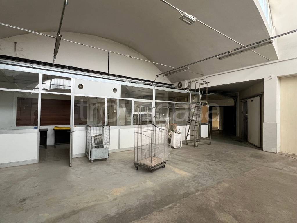 immagine annuncio 8 di 11