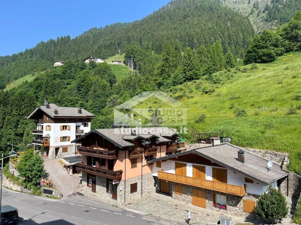 immagine annuncio 12 di 14