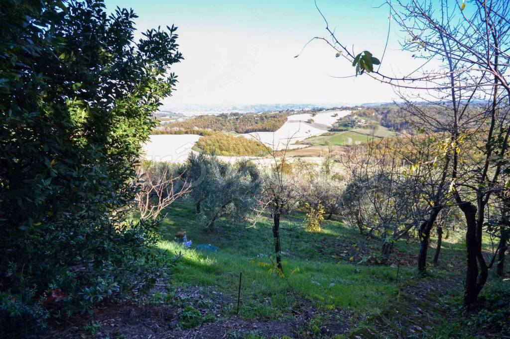 immagine annuncio 13 di 14