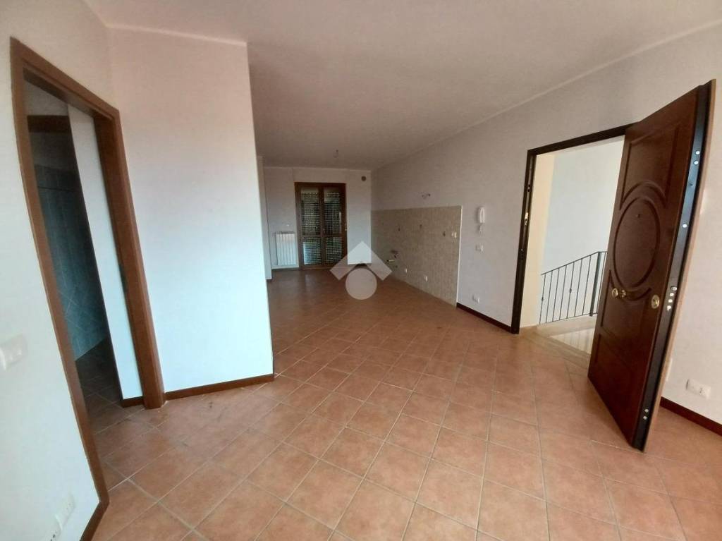 immagine annuncio 7 di 14