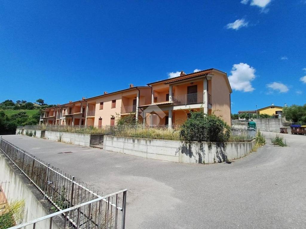 immagine annuncio 9 di 14