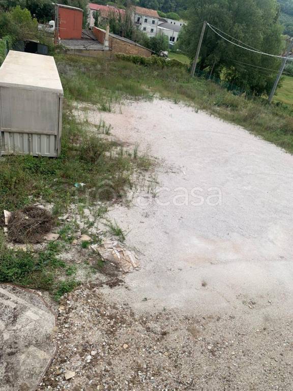 immagine annuncio 1 di 6