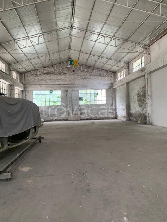 immagine annuncio 4 di 6