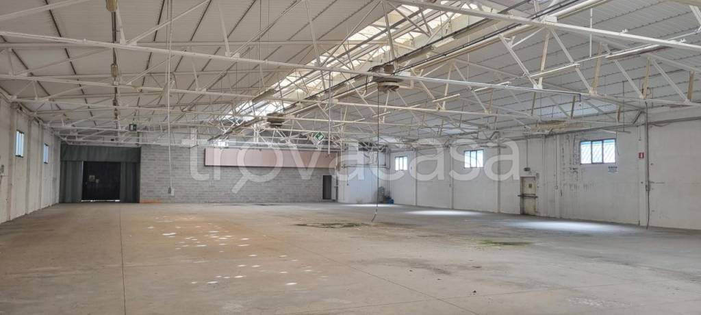 immagine annuncio 4 di 11