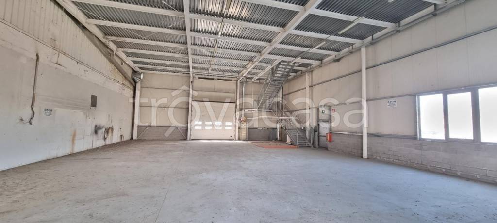 immagine annuncio 5 di 11