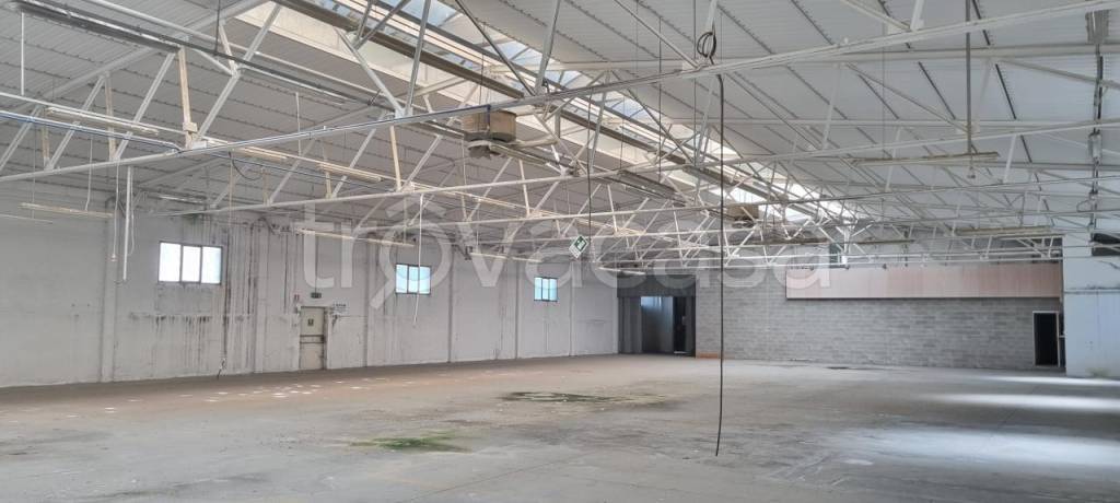 immagine annuncio 9 di 11