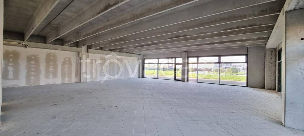 immagine annuncio 6 di 9