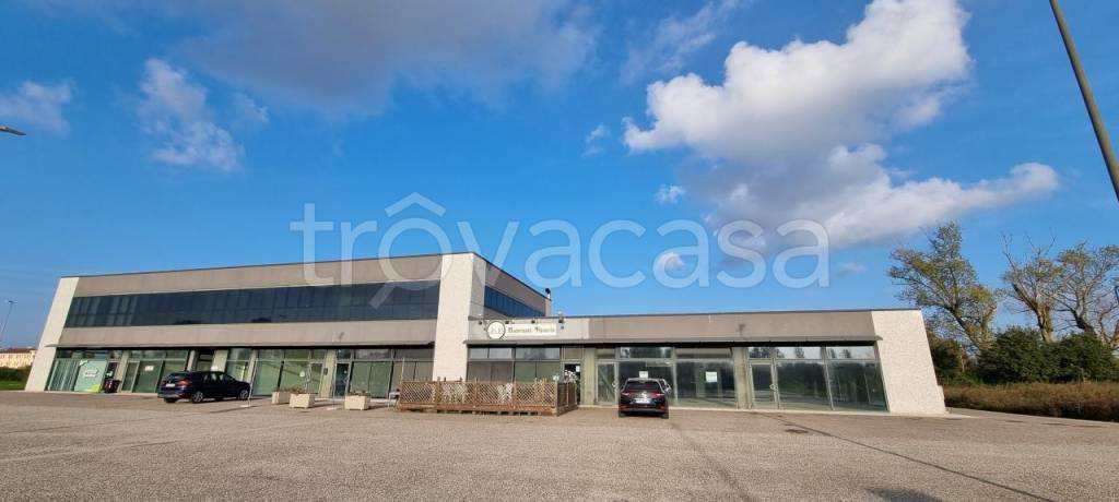 immagine annuncio 7 di 9