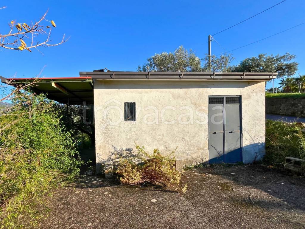 immagine annuncio 9 di 14