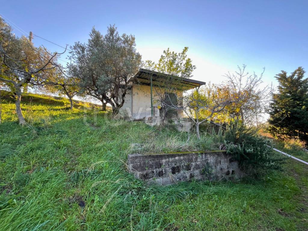 immagine annuncio 12 di 14