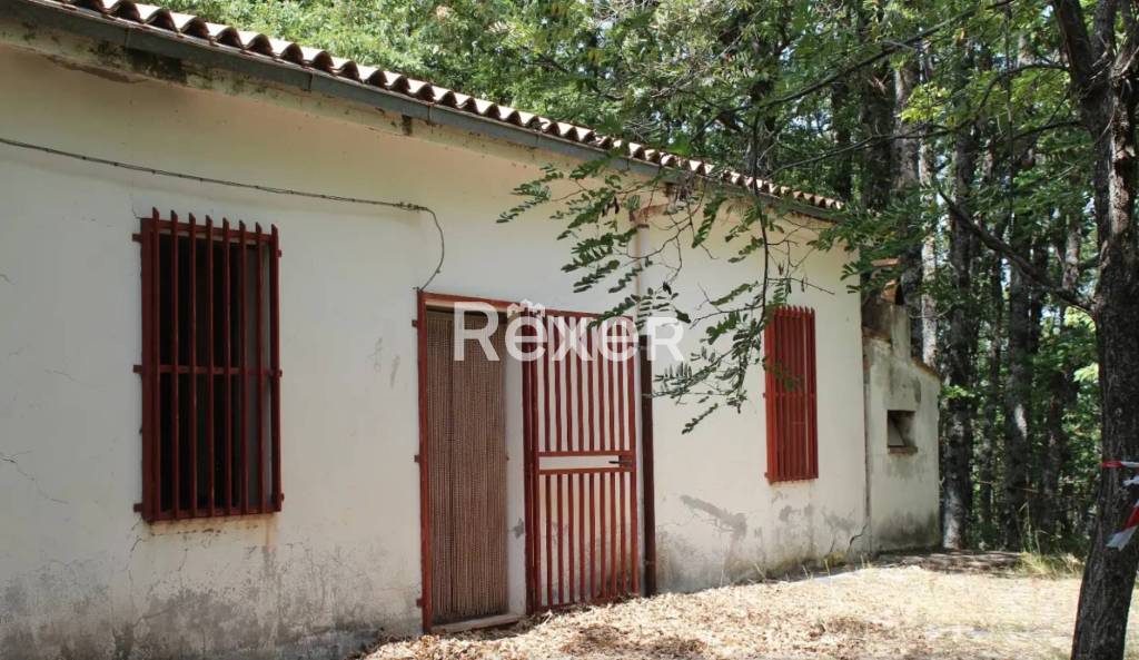 immagine annuncio 1 di 6