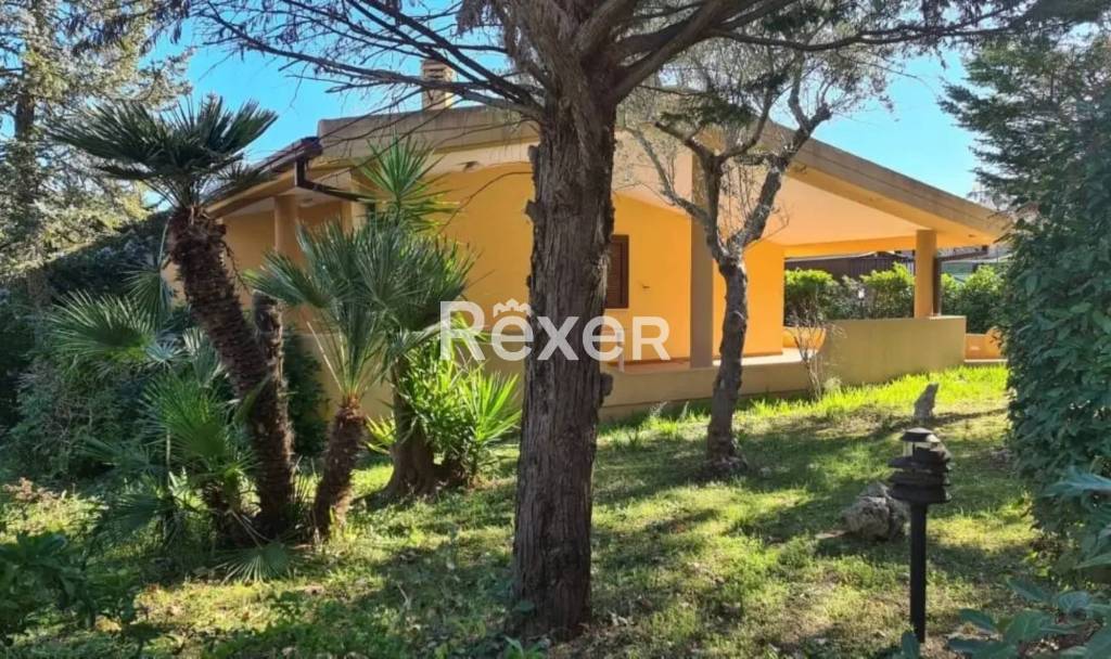 immagine annuncio 6 di 11