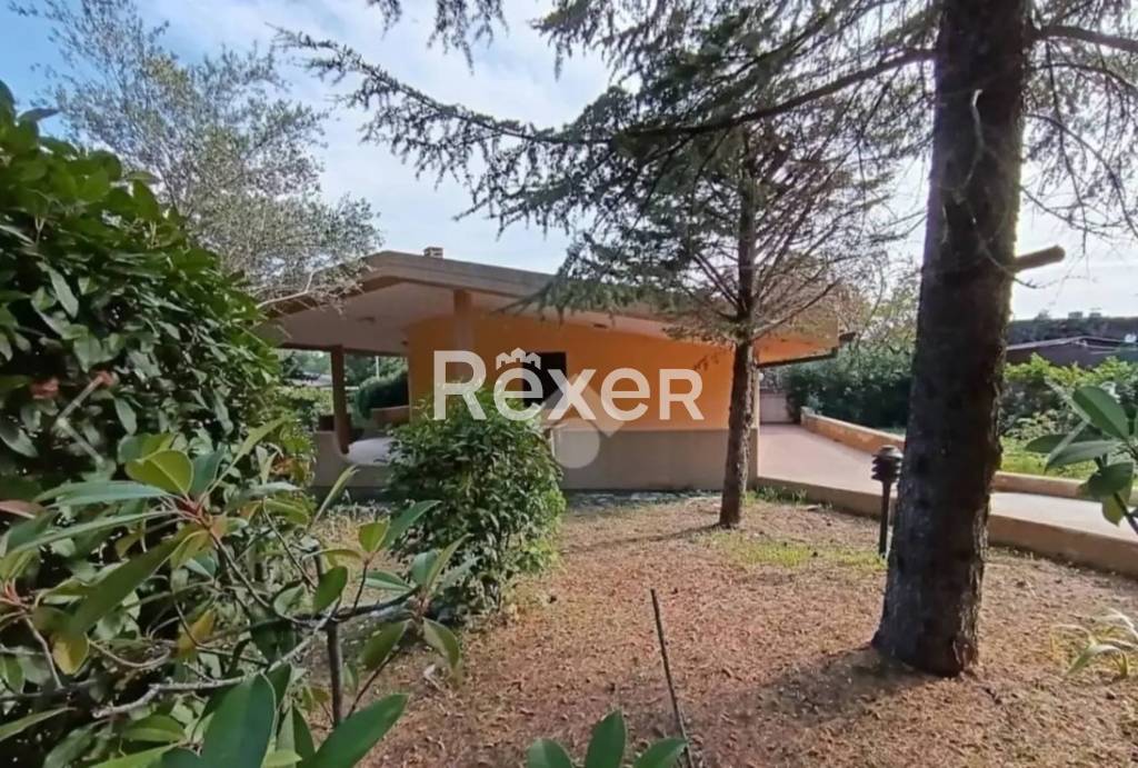 immagine annuncio 7 di 11