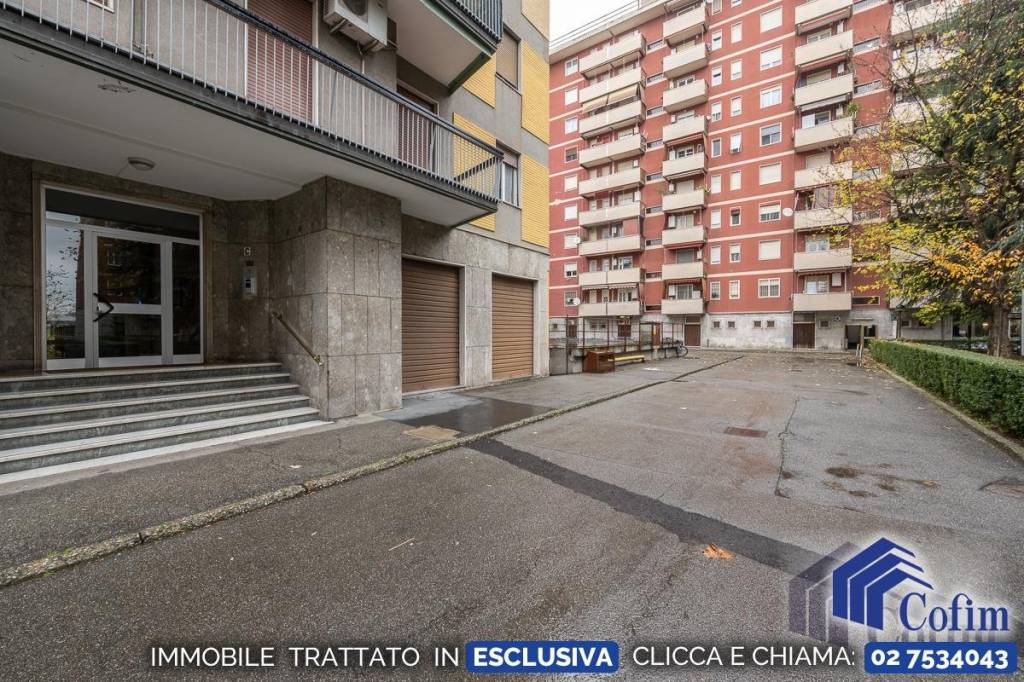 immagine annuncio 1 di 13