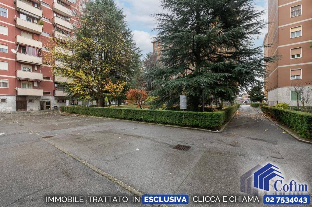 immagine annuncio 12 di 13