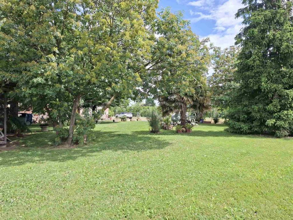 immagine annuncio 2 di 6