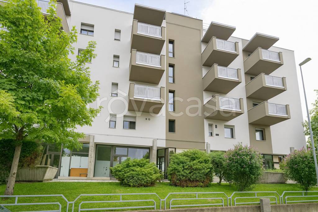 immagine annuncio 11 di 13