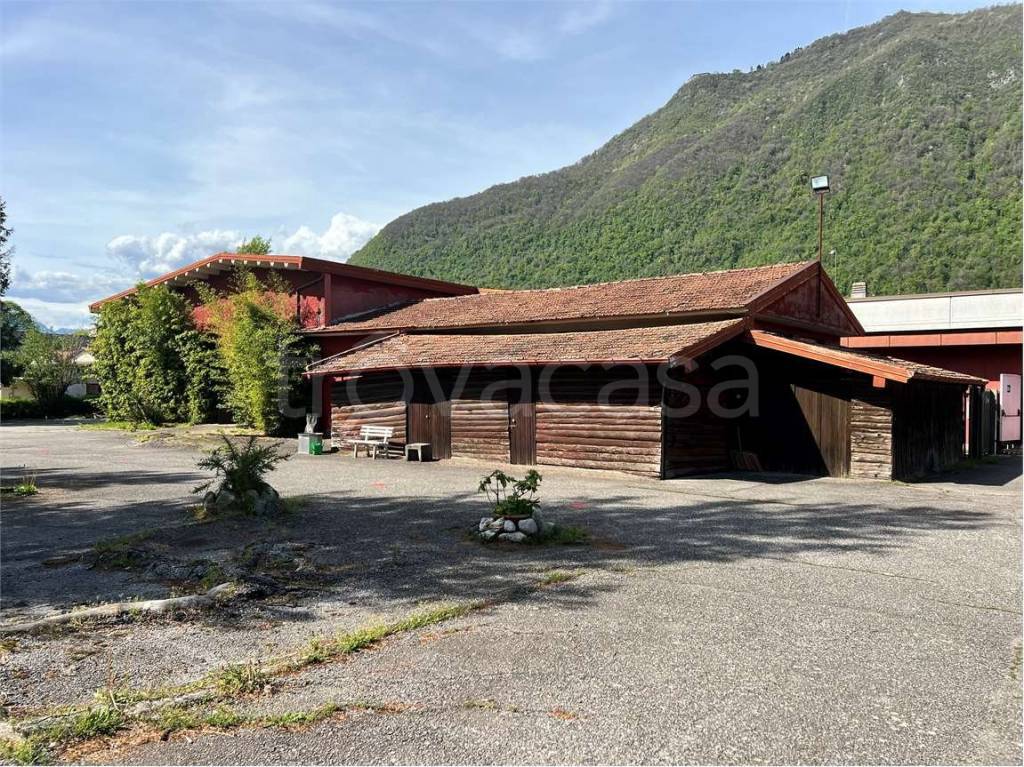 immagine annuncio 13 di 15