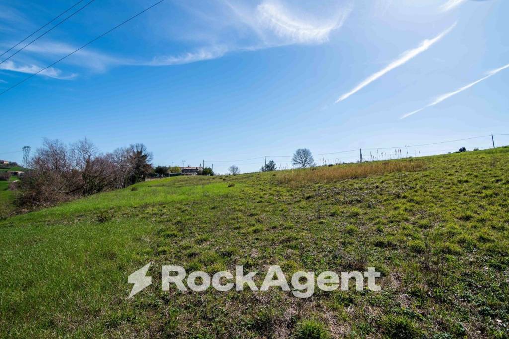 immagine annuncio 6 di 13