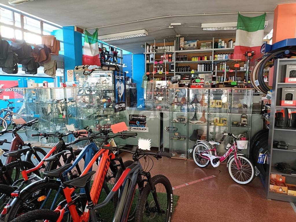 immagine annuncio 2 di 15