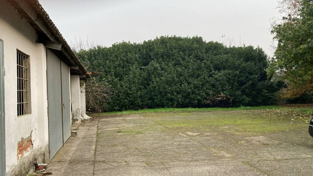 immagine annuncio 4 di 6