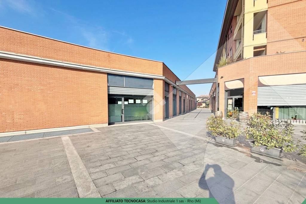 immagine annuncio 3 di 12