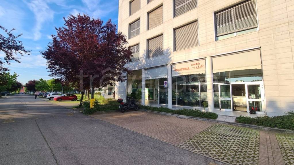 immagine annuncio 1 di 2