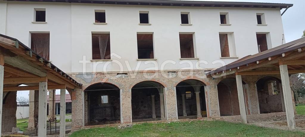 immagine annuncio 6 di 12