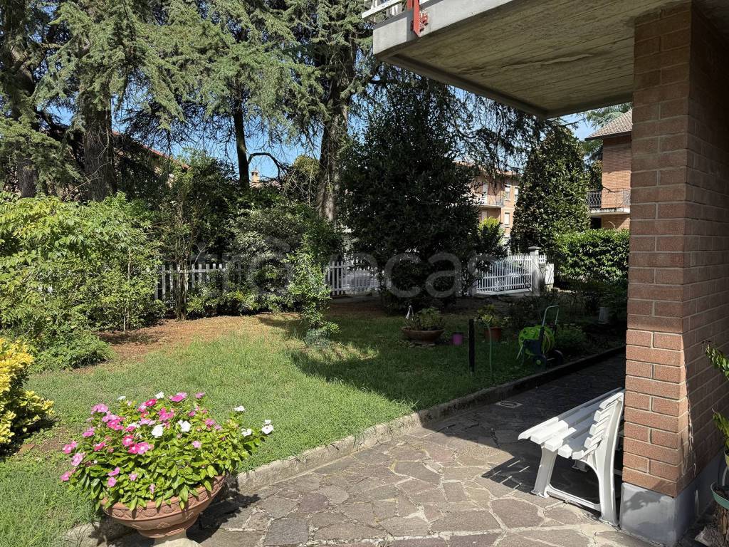 immagine annuncio 9 di 15