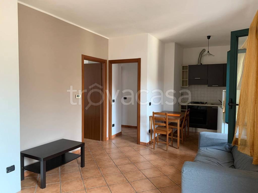 immagine annuncio 1 di 13