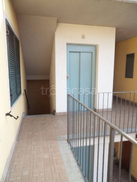 immagine annuncio 10 di 13