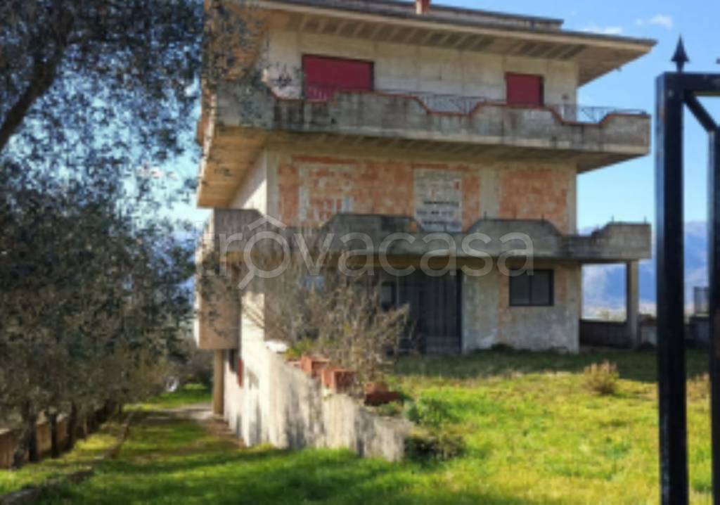 immagine annuncio 1 di 11