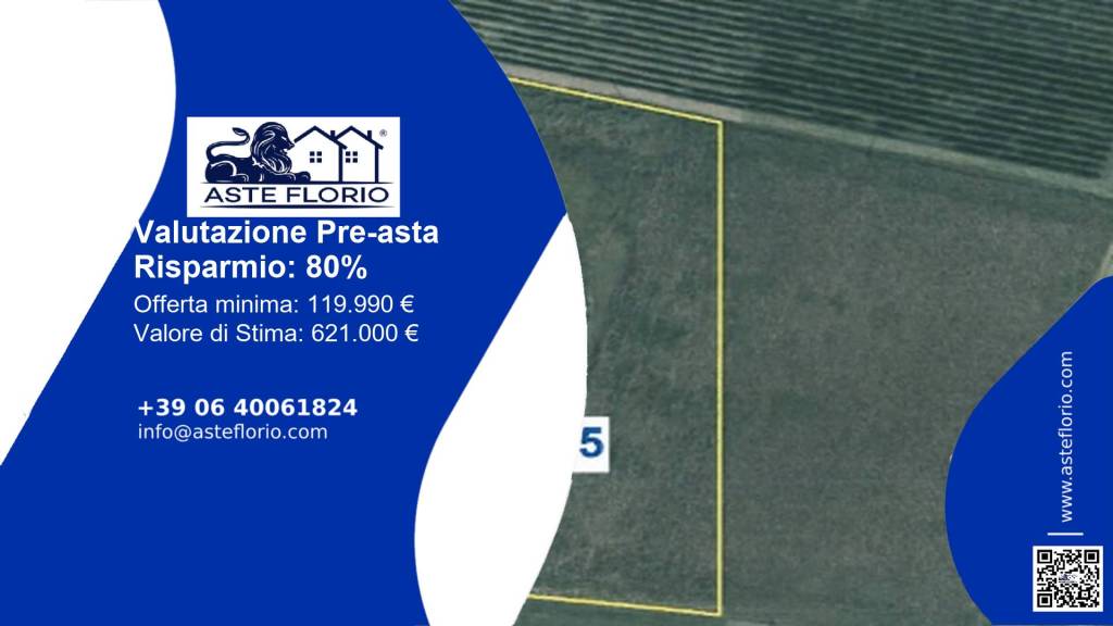 immagine annuncio 1 di 12