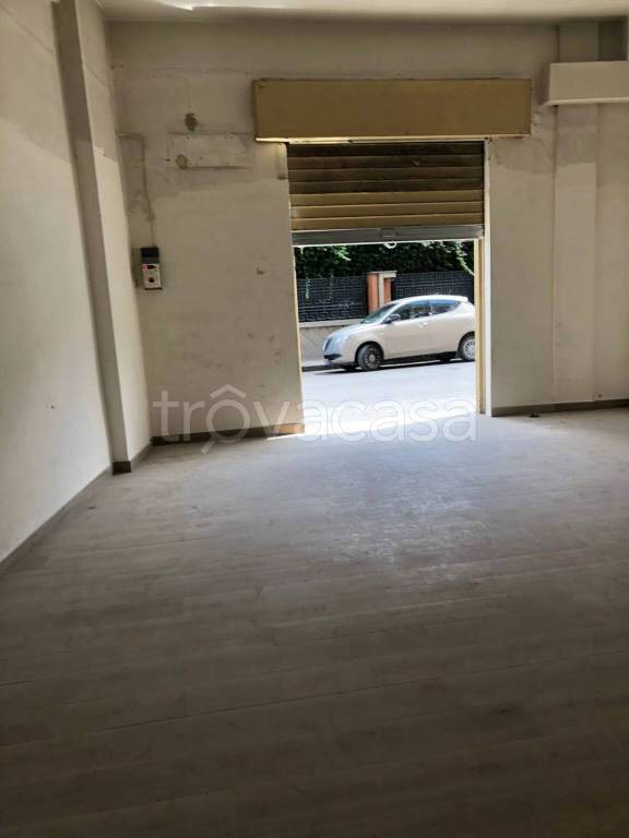 immagine annuncio 2 di 6