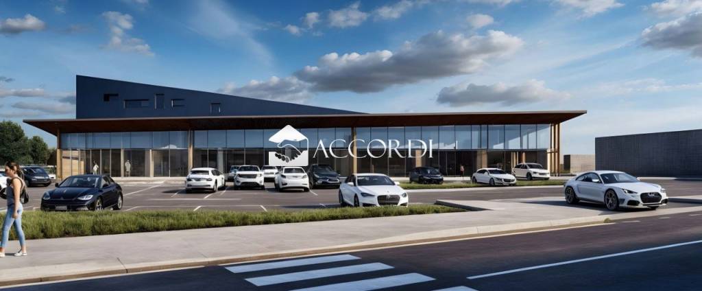 immagine annuncio 2 di 9