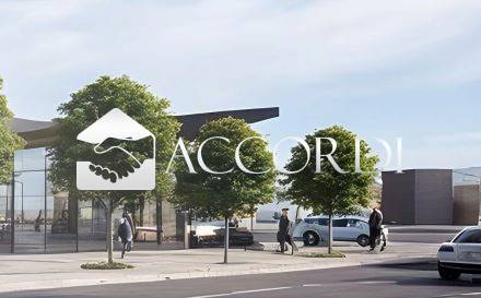 immagine annuncio 3 di 9