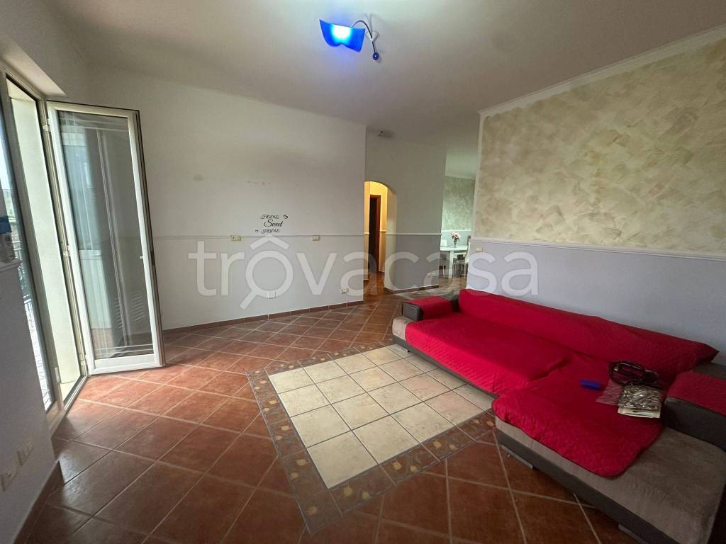 immagine annuncio 5 di 12