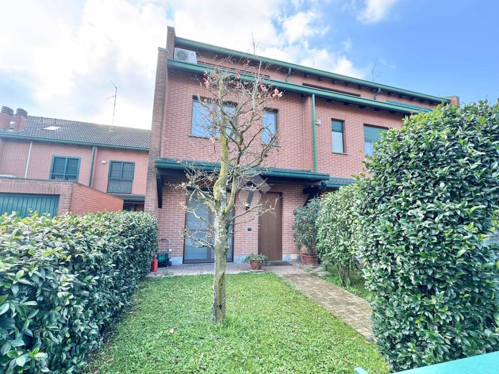 immagine annuncio 1 di 15