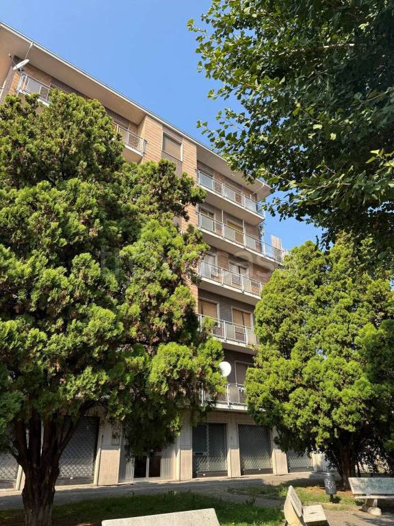 immagine annuncio 8 di 12