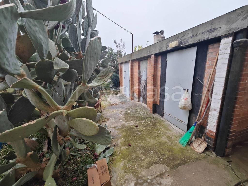 immagine annuncio 10 di 14