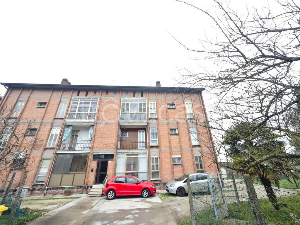 immagine annuncio 12 di 14