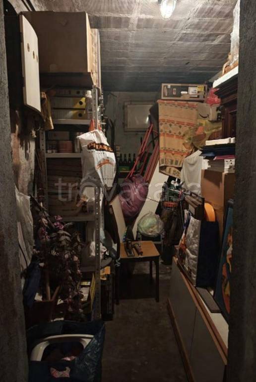 immagine annuncio 9 di 14