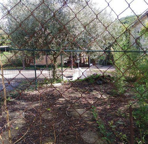 immagine annuncio 4 di 9