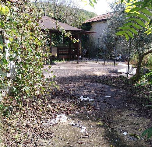 immagine annuncio 5 di 9