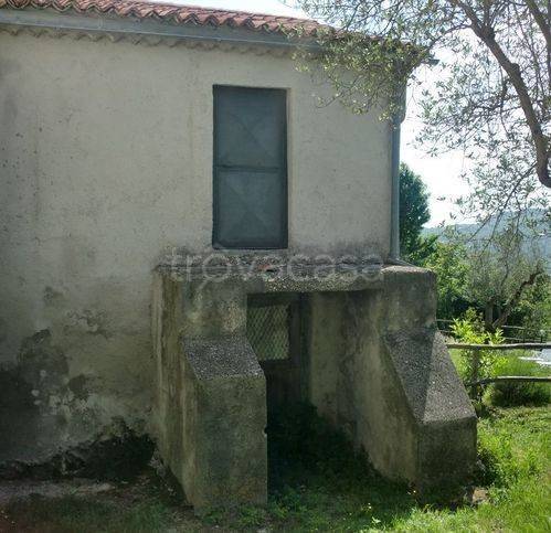 immagine annuncio 4 di 6