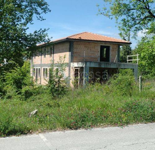 immagine annuncio 12 di 13