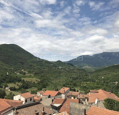 immagine annuncio 4 di 12