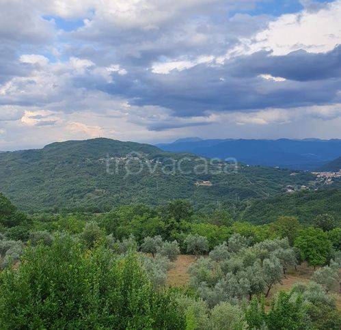 immagine annuncio 2 di 7